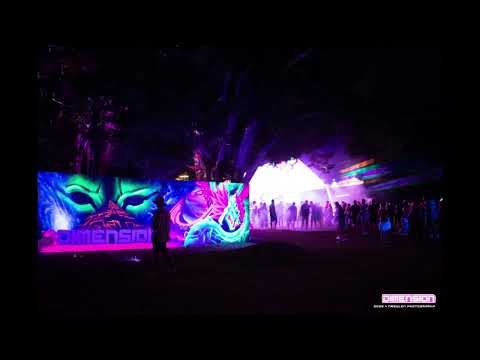 Biggins @ Dimension Festival (NZ)  (Feb. 2023)