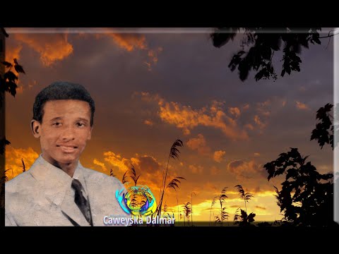 Cabdi Tahliil Ahun | Heestii Waa Digniine Isdaryeelo Dadka Soo Raac