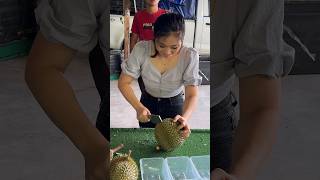 Download lagu Wanita Malaysia Menjual Durian Segar - Keterampilan Memotong Buah mp3 Download lagu Wanita Malaysia Menjual Durian Segar - Keterampilan Memotong Buah mp3