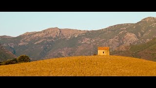 The Future Sound Of London, Boca Manu