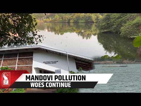 High Faecal Coliform Levels Persist In Mandovi River, Pollution Board Tells High Court
