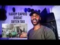 Hardy Caprio - Guten Tag (ft. DigDat) [Music Video] | GRM Daily [Reaction] | LeeToTheVI