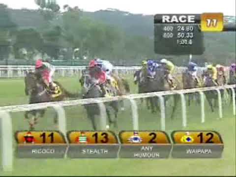 (新加坡) 新加坡金杯 SINGAPORE GOLD CUP-- 「黃金鄉」蟬聯冠軍 (8/11/2009)