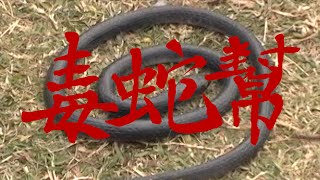 [音樂]阿跨面 - 毒蛇幫 (Official MV)