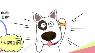 [비상교육 와이즈캠프] 개뼈노트 4학년 1학기 3단원 과학 / 식물의 한살이