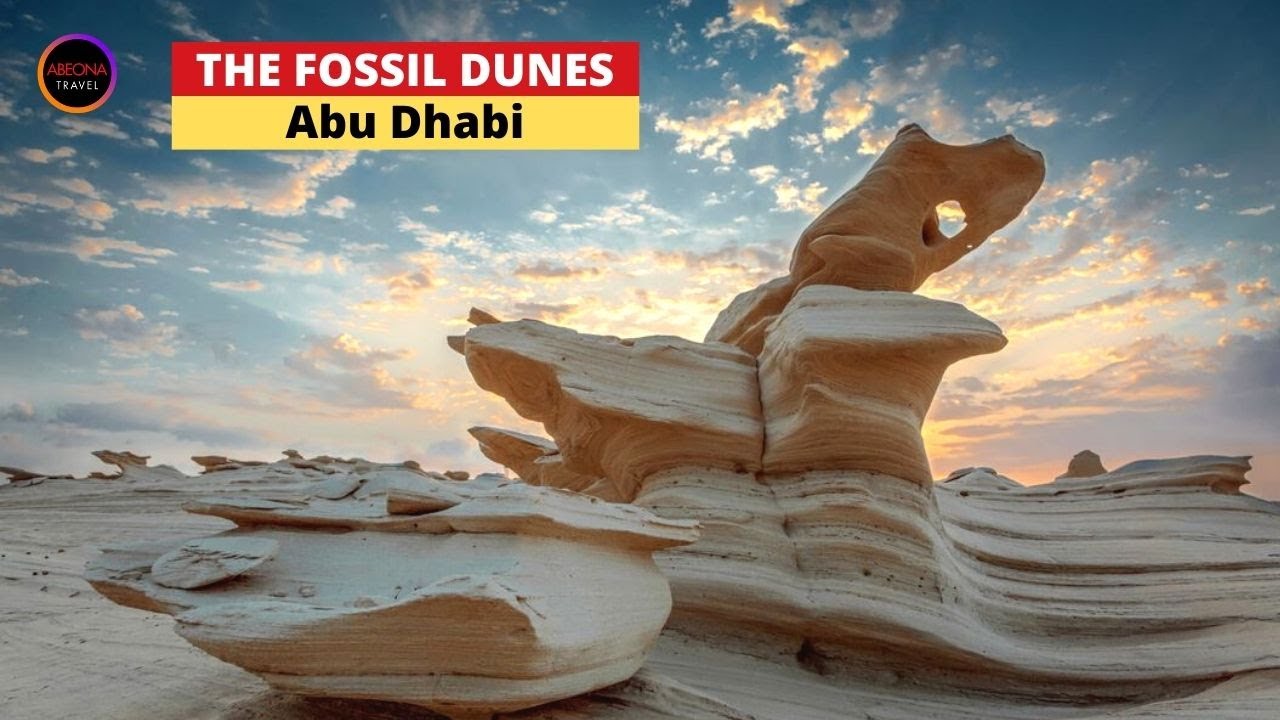 Experience a virtual tour of Al Wathba Fossil Dunes.