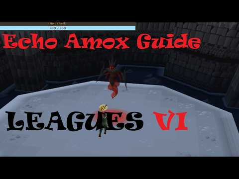 Echo Amox Guide Leagues Vi