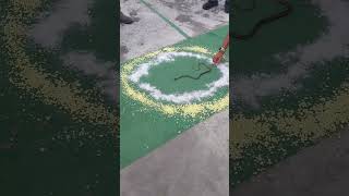 Download lagu Membantah mitos #ular dan #garam. #edukasiular mp3