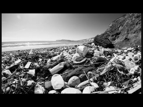 Sardanapalm Death - Μη αναστρέψιμο