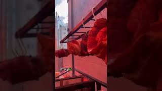 Foi maravilhoso poder compartilhar esse momento especial com vocês! 🧡| Dia das Mães no Churras