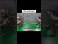 CQB TACTICS VIDEO CQB Room tactical entry Room entry of hostage rescue operation