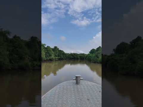 Rio Arari em Santa Cruz do Arari na ilha do Marajó #rio #marajó #amazonia #oceano #navegacao