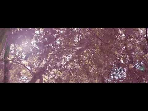 Juice - Letter To Her ft. Sir Rob (Official Music Video)