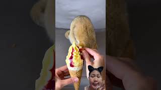 Download lagu @LaLaLebensfreude Cats can't have too much ice cream #dubbingvideo #shortvideo #shotrs mp3