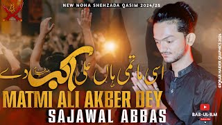 Download lagu Asi Matmi Han Ali Akbar as Dy ||Sajawal Abbas New Noha ||Noha 2024 mp3