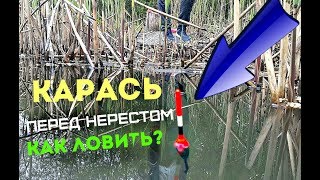 Ссылка