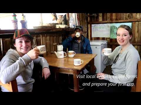 Videos from TreXperience