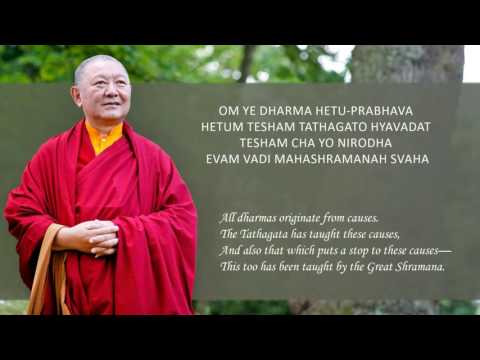 About Ye Dharma Dharani | Ringu Tulku Rinpoche