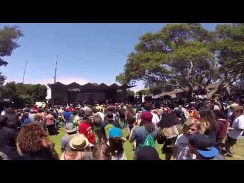 The Expanders - Turtle Racing (Live at California Roots 2014)