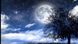 Wishing On A Star -Will Downing