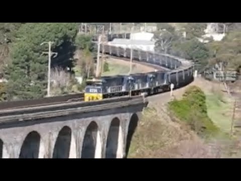 coal train crossing marrangaroo viaduct