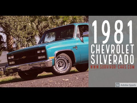 1981 Chevrolet Silverado (CC-1379658) for sale in Palmetto, Florida