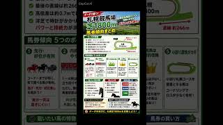 札幌競馬場芝1800m データ分析　馬券傾向　#競馬予想 #中央競馬予想 #競馬 #horse #馬券