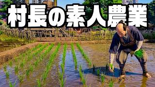 米の知識ゼロだけど勘で田んぼ作ってみた