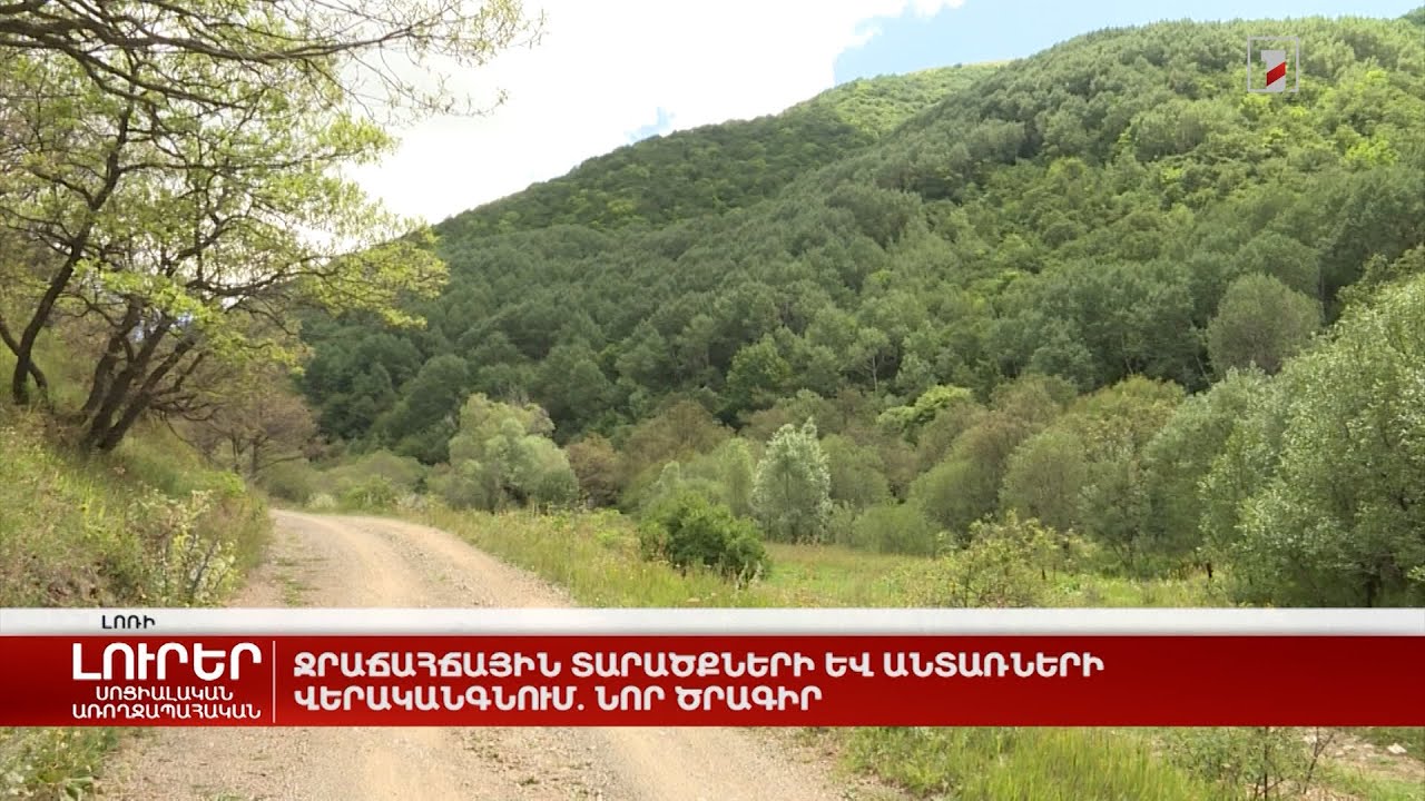 Ջրաճահճային տարածքների և անտառների վերականգնում. նոր ծրագիր