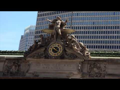 Our Idiot Brother - WIllie Nelson and his IDIOT Owner - Grand Central Sniff-Out