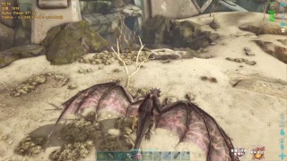【ARK】αドラゴン討伐