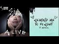 Kygo vs Sia - Remind Me To Alive v2 (miCar David Mashup) Kygo vs Sia - Remind Me To Alive v2 (miCar David Mashup)