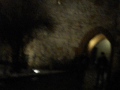 Kraków 31 Grudnia 2009