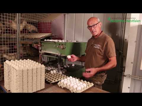 Geflügelhaltung Haus Düsse