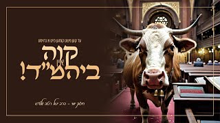 Rabbi Yoel Roth | הרב יואל רוטה שליט"א - ער קען נישט קומען מיט א גרויסע קוה אין בית מדרש...!