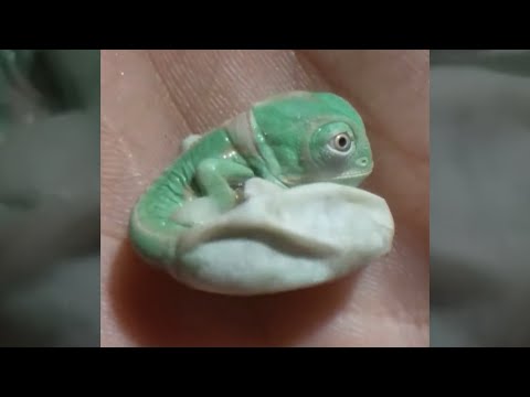 youtube image