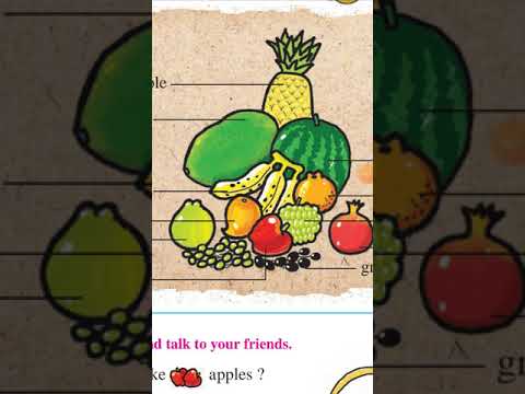 MY Fruit Basket & Animal Names