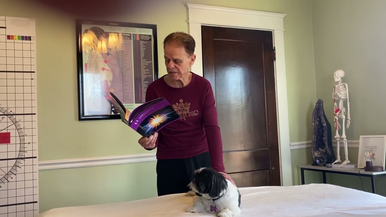 How To Work on animals using Quantum Touch