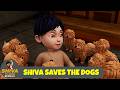Shiva Saves The Dogs শিব কুকুরদের বাঁচায় Shiva TV Show 2026 Ben