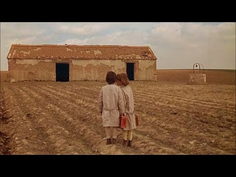 Video Essay: The Spirit of the Beehive