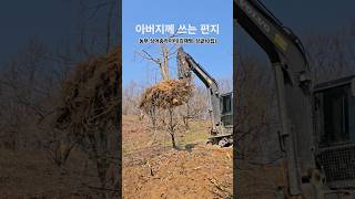 Download lagu #감나무 #옮겨심기 #포커레인 mp3