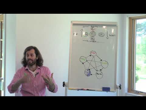 Five (Dynamic) Elements of Chinese Medicine [Wu Xing]