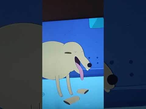 the origin of Finn and his family is finally revealed!