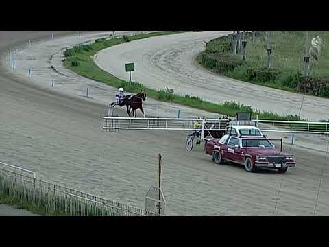 Aversa trotto 7 Maggio 2022 - Prova di qualifica e riqualifica