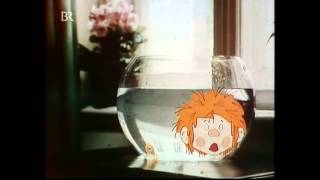 Pumuckl Teaser (Goldfisch)