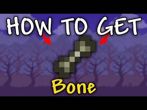 Bone Terraria