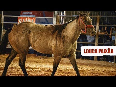 🔴 (FINAL EM CUTIANO) Rodeio de SEBASTIANÓPOLIS DO SUL-SP 2024