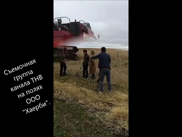 ООО "Хаерби". Уборка озимой ржи. 29.07.2019 г. Монтаж фильма  Л. Никифоровой.
