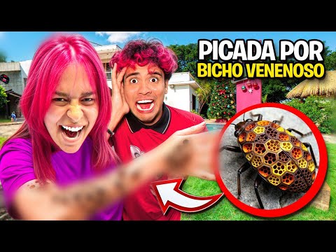 A KATLEN FOI PICADA POR UM BICHO VENENOSO * ela tá doente