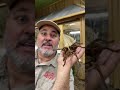 The Biggest Spider On Earth